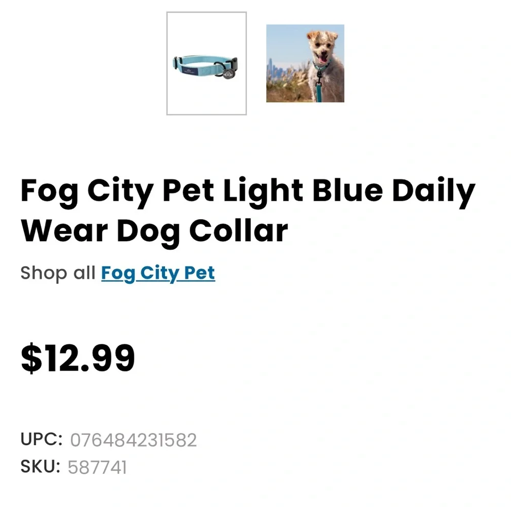 Fog City Pet Light Blue Daily Wear Dog Collar